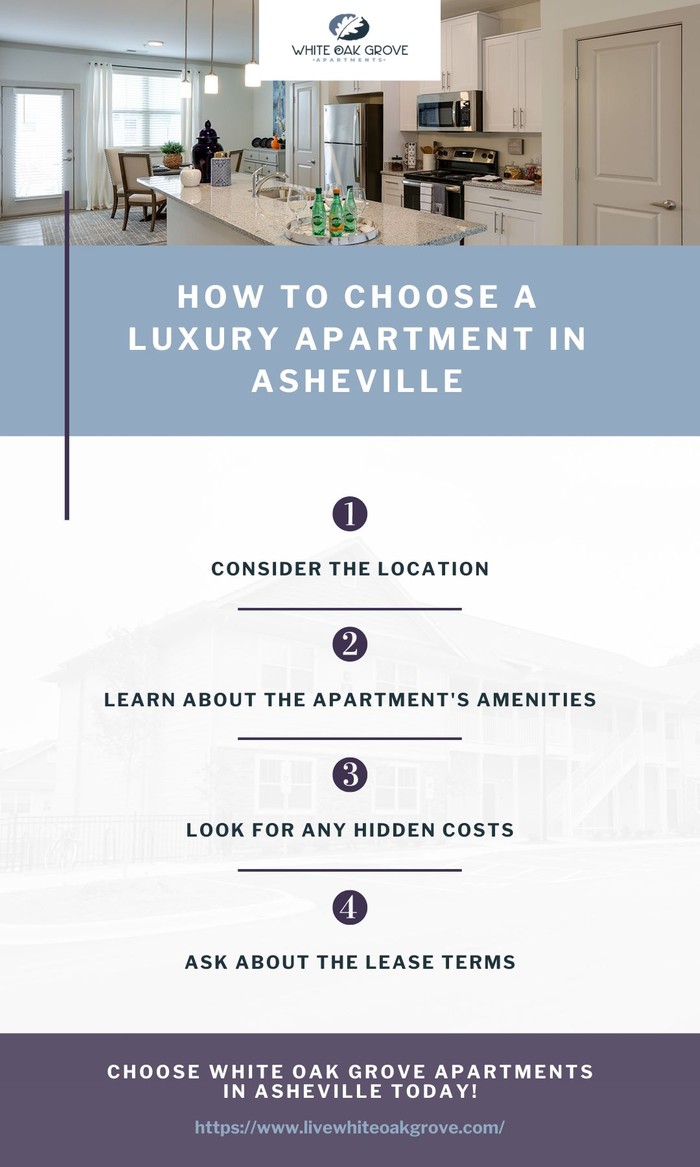 How to Choose a Luxury Apartment in Asheville White Oak Grove Apartments